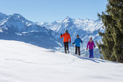 Winter Schneeschuhwanderung