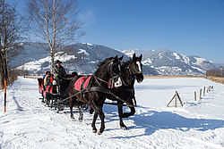 Winter Pferdeschlittenfahrt